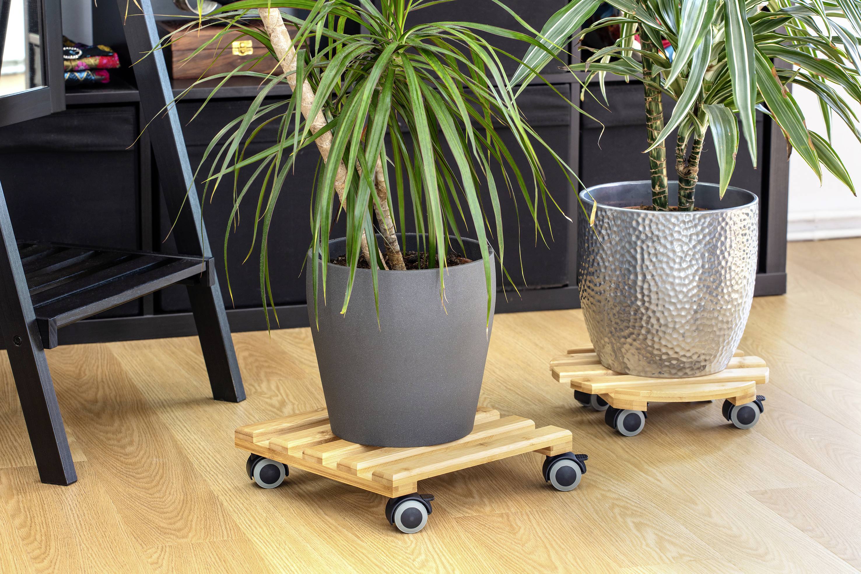 Zwei Zimmerpflanzen auf Holzwägen mit Rollen stehen auf einem Holzboden, umgeben von schwarzen Möbeln.