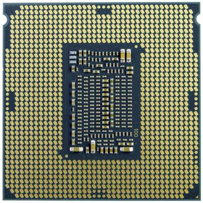 Ein Computerprozessor mit zahlreichen goldenen Pins auf der Unterseite, die verwendet werden, um eine Verbindung mit dem Mainboard herzustellen.