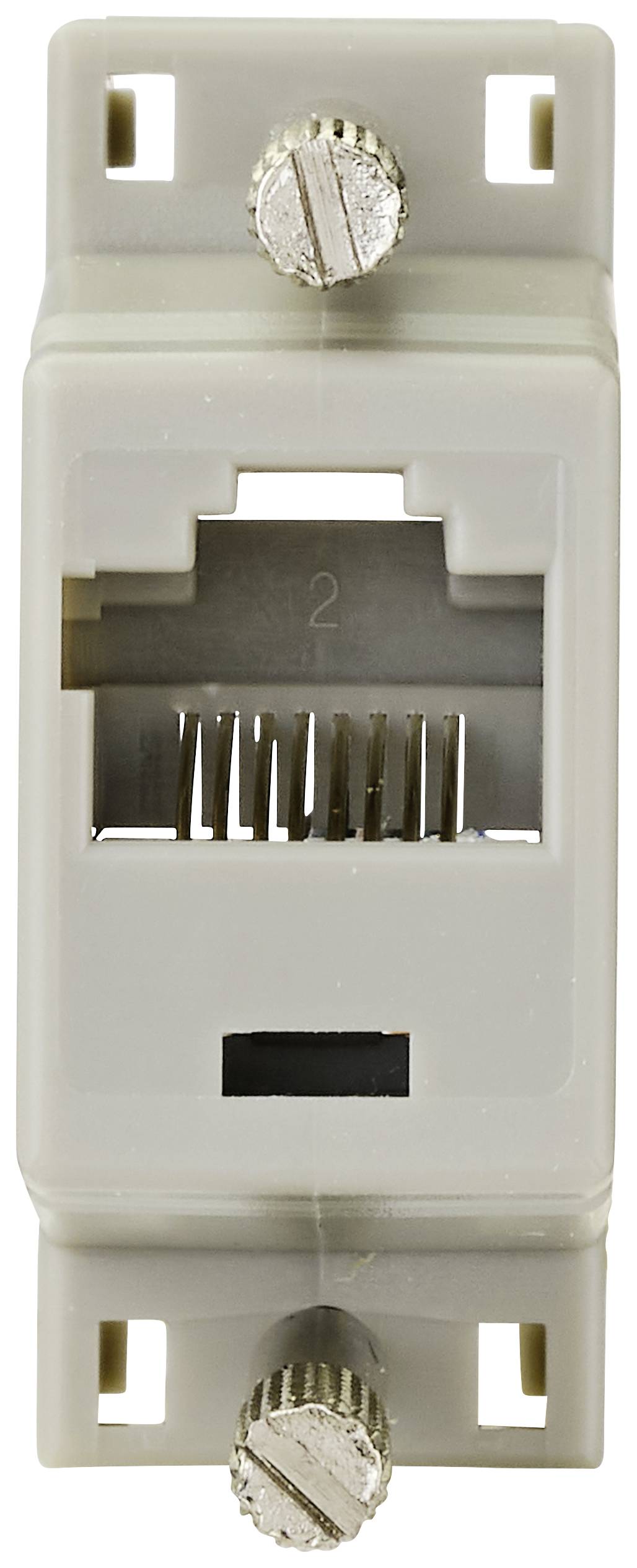 Ein einzelner grauer RJ45-Wandanschluss mit sichtbaren Schrauben zur Befestigung an einer Wand.