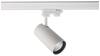 Deko Light Horus LED-Schienenstrahler 3phasig LED fest eingebaut 10 W LED EEK: E (A - G) Weiß