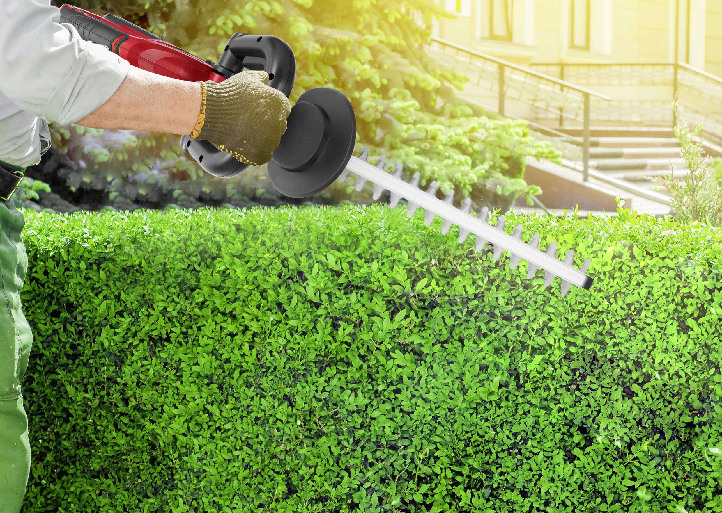 Eine Person schneidet eine Hecke mit einem elektrischen Heckenschneider. Im Hintergrund sind Bäume und ein Gebäude sichtbar.
