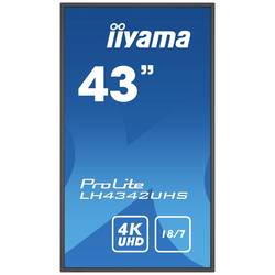 Image of Iiyama ProLite LH4342UHS-B3 Digital Signage Display EEK: G (A - G) 108 cm 42.5 Zoll 3840 x 2160 Pixel 18/7