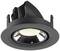 Ein schwarzer, runder Einbaustrahler mit sichtbarer Glühbirne, seitlich geneigt. Geeignet für Deckenmontage in Innenräumen.