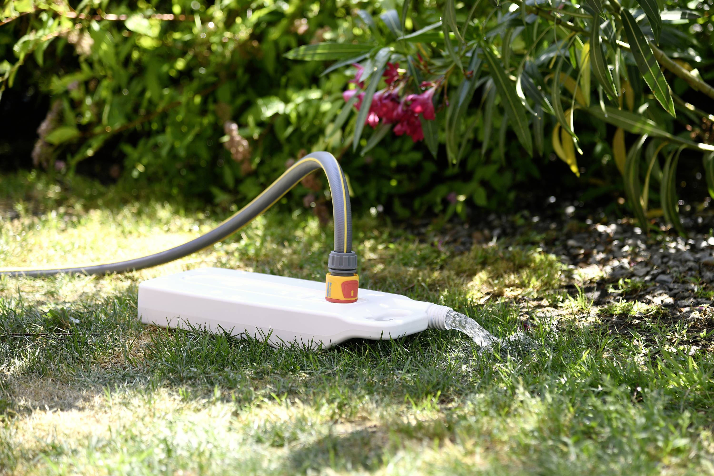 Ein Gartenschlauch ist an einen Wasserbehälter angeschlossen, aus dem Wasser auf den Rasen fließt, um Pflanzen zu bewässern.