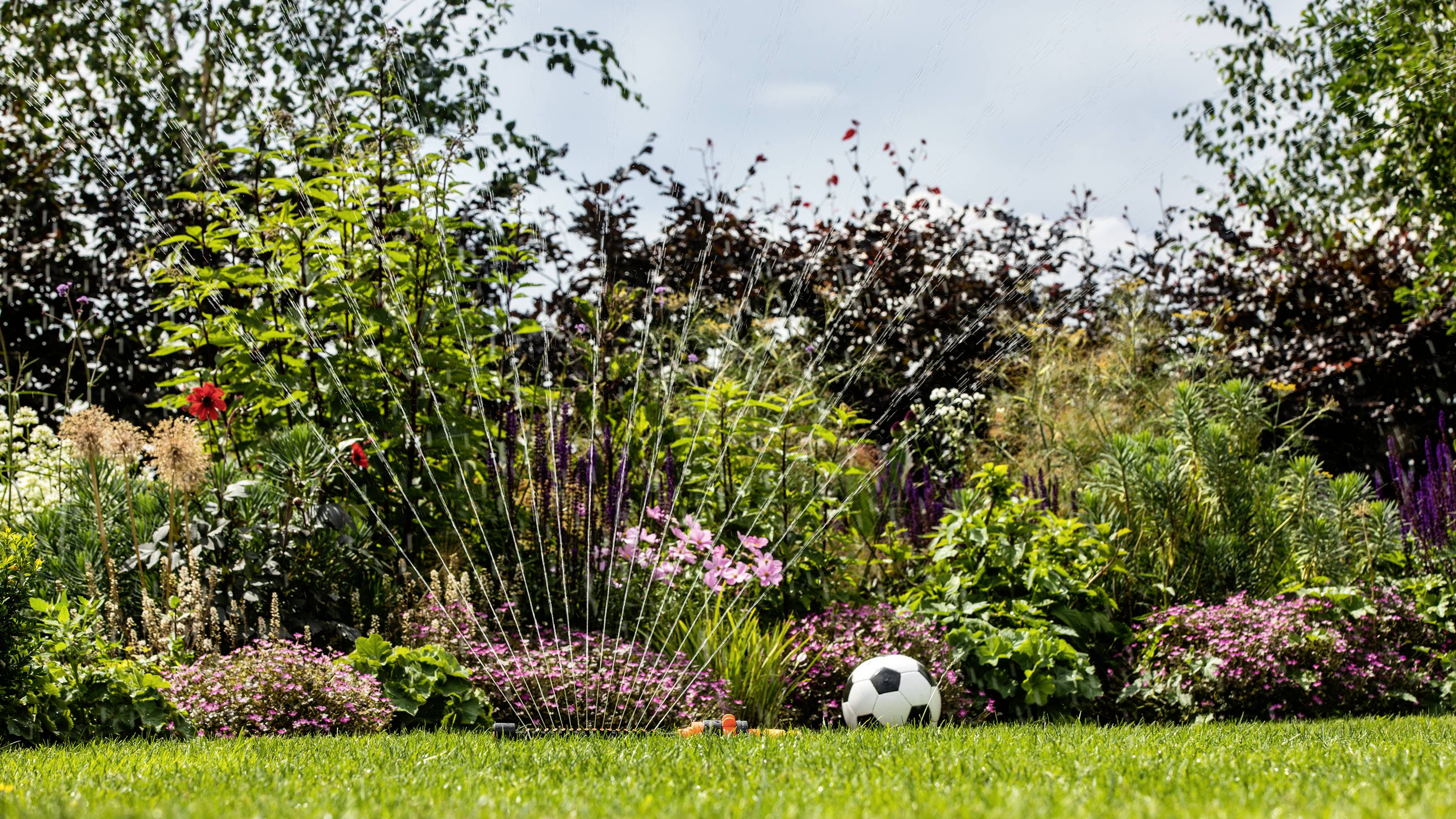 Ein Garten mit blühenden Blumen und einem springenden Rasensprenger. Ein Fußball liegt auf dem grasgrünen Rasen.