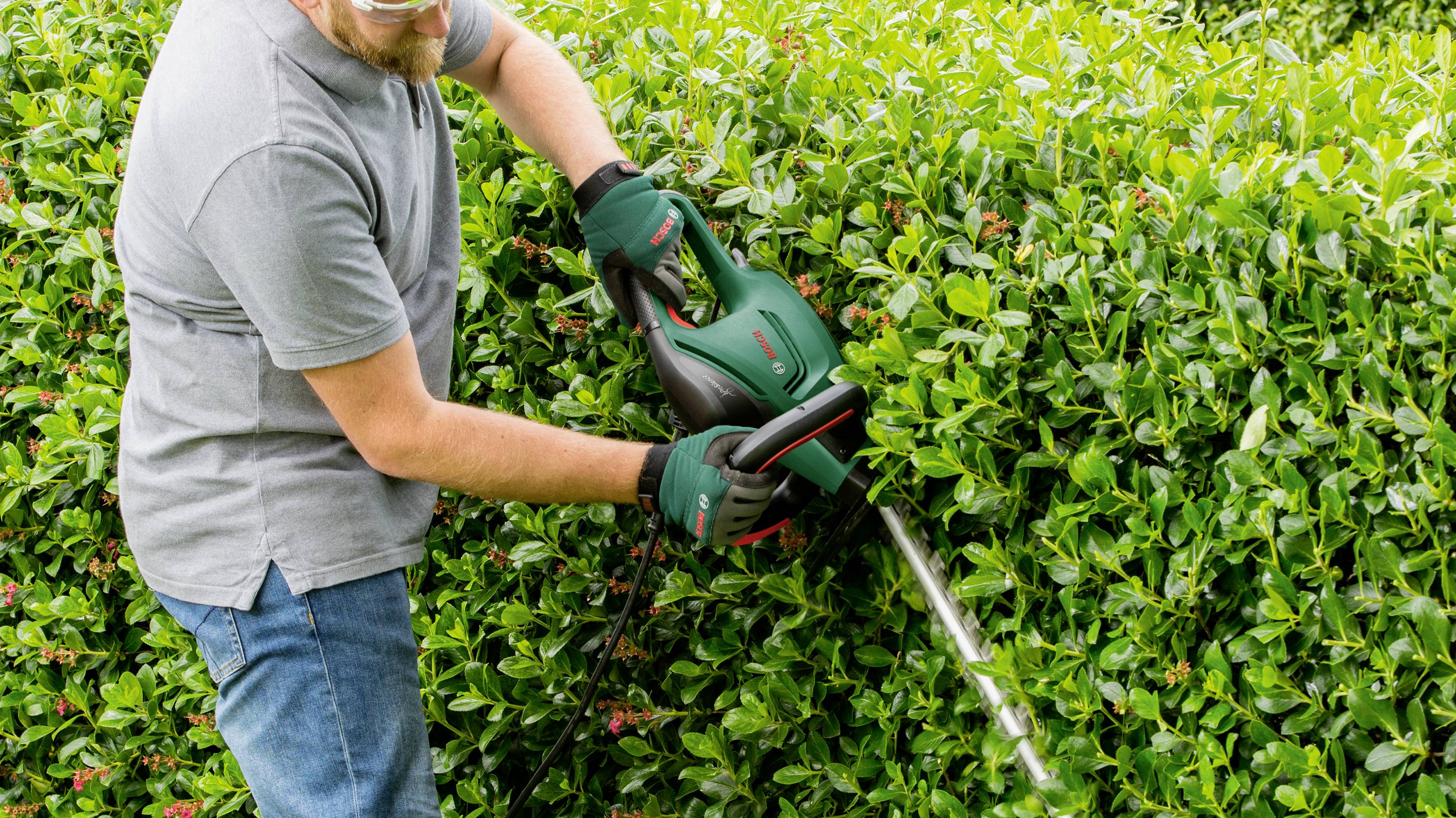 Ein Mann benutzt eine elektrische Heckenschere, um eine dichte grüne Hecke zu trimmen. Er trägt Arbeitskleidung und Schutzbrille.