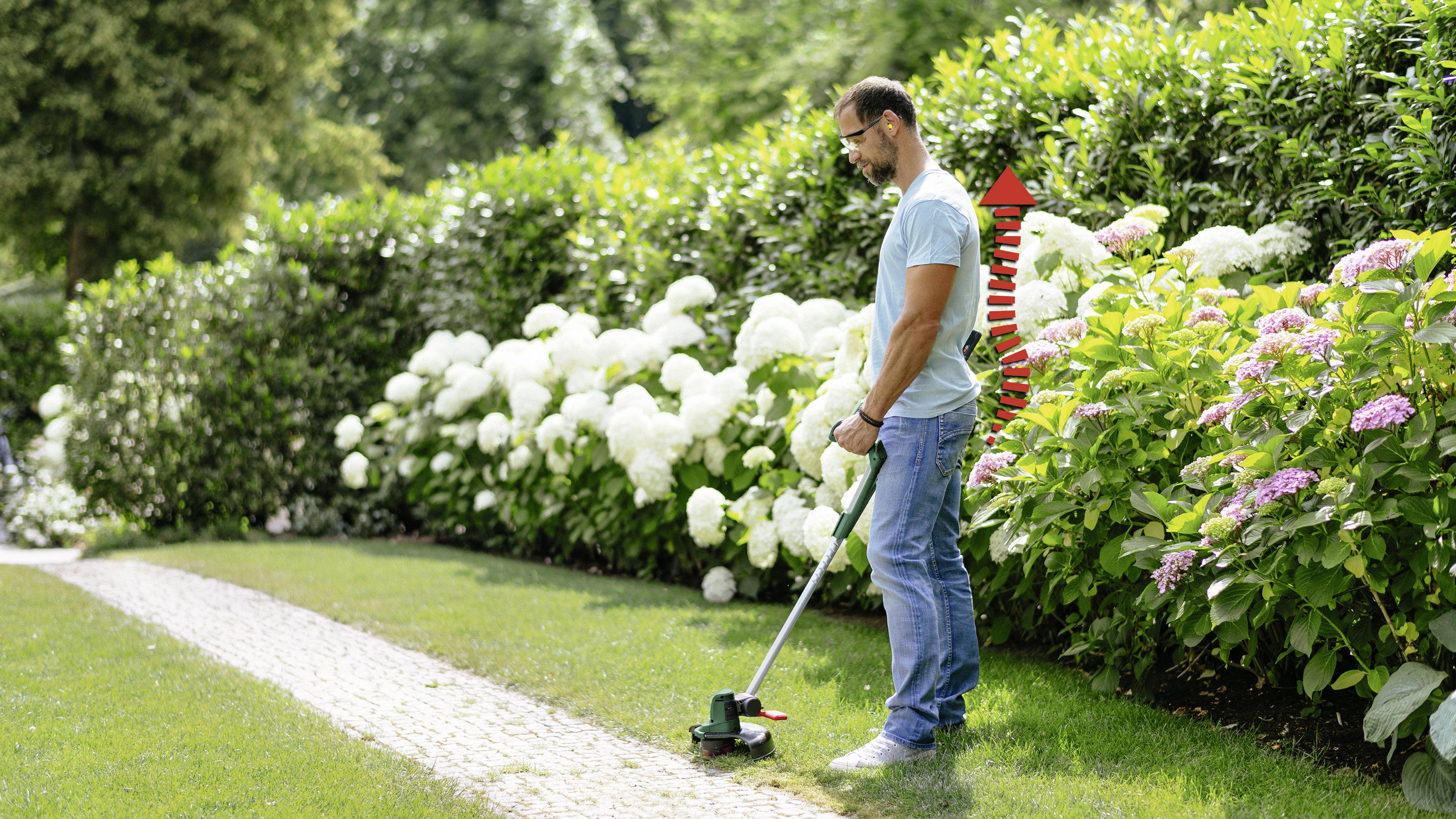 Ein Mann im Garten trimmt die Rasenränder mit einem elektrischen Rasentrimmer, umgeben von blühenden Sträuchern und Hortensien.