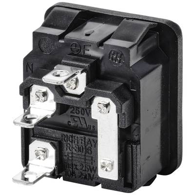 Elektroschalter, schwarz, mit sichtbaren Schraubverbindungen. Aufdruck: 250V, max 25W, 10A. Für elektrische Geräte geeignet.