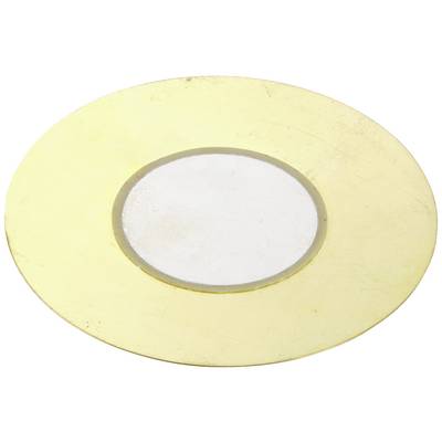 Eine goldene runde Platte mit einem kleineren weißen Kreis in der Mitte.