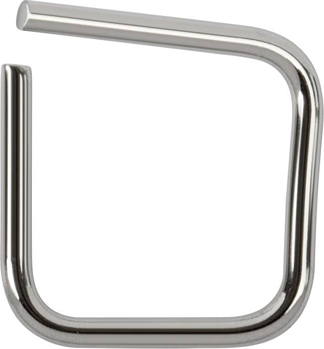 Kern 318-35 E2 20 mg testgewicht draad, roestvrij staal gepolijst