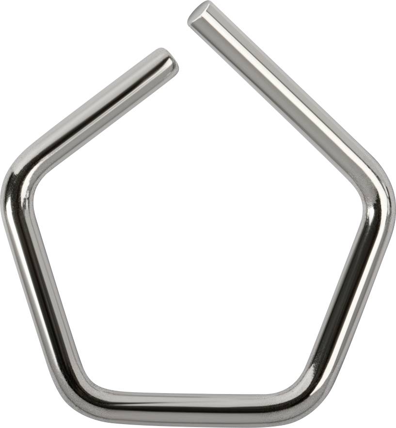 Kern 328-39 F1 500 mg testgewicht draad, roestvrij staal gepolijst