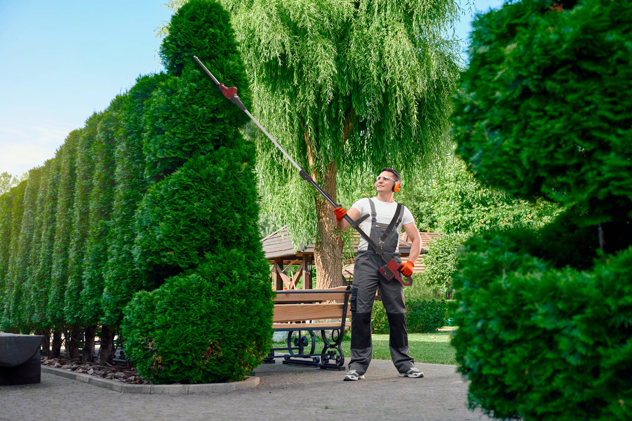 Ein Mann in Arbeitskleidung schneidet eine hohe Hecke in einem Garten mit einem elektrischen Heckenschneider.