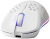 Deltaco Gaming Maus USB, RGB, weiß