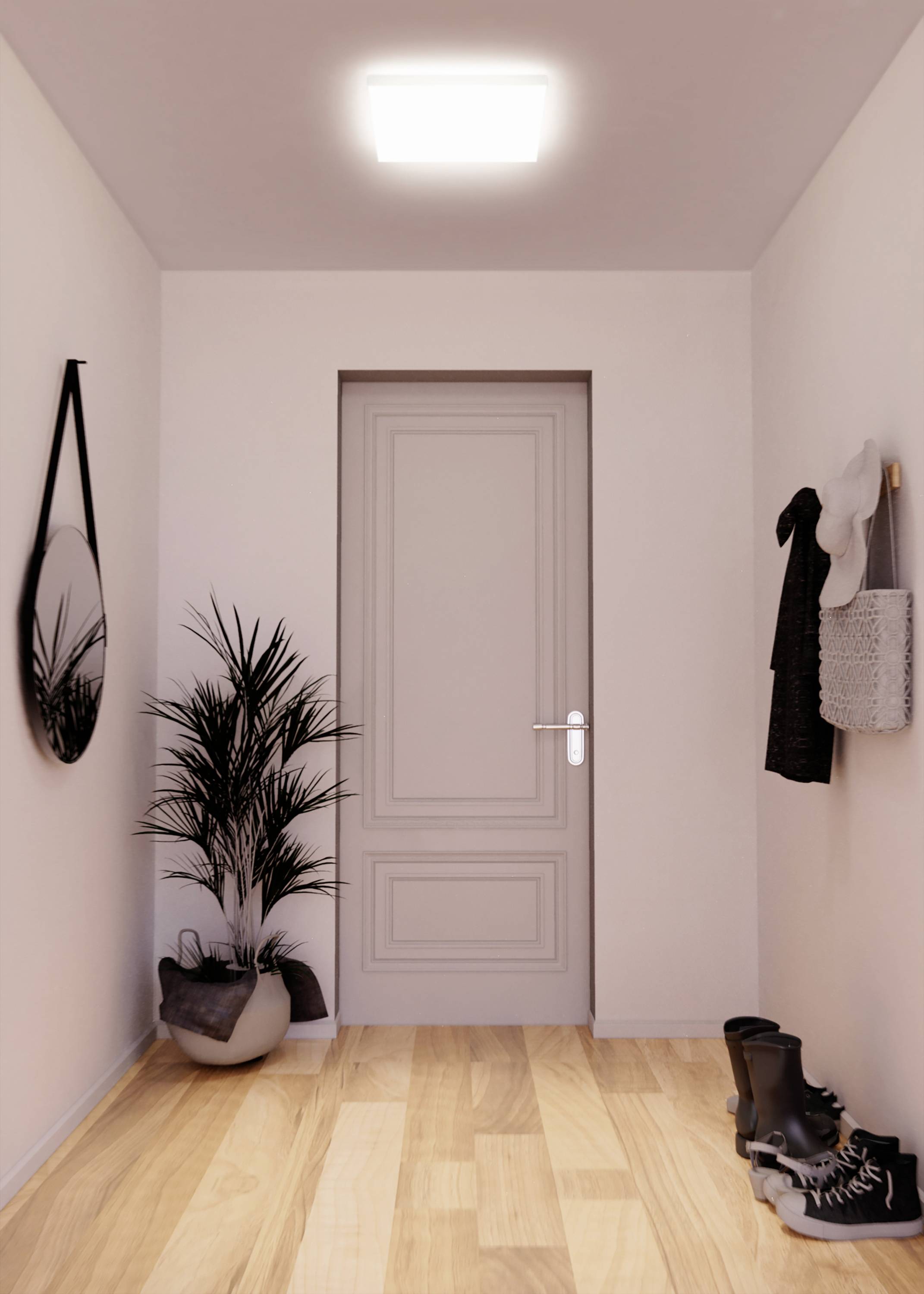 Ein schmaler Flur mit Holzfußboden, einer geschlossenen Tür, einem Spiegel an der Wand und einer Pflanze in der Ecke.