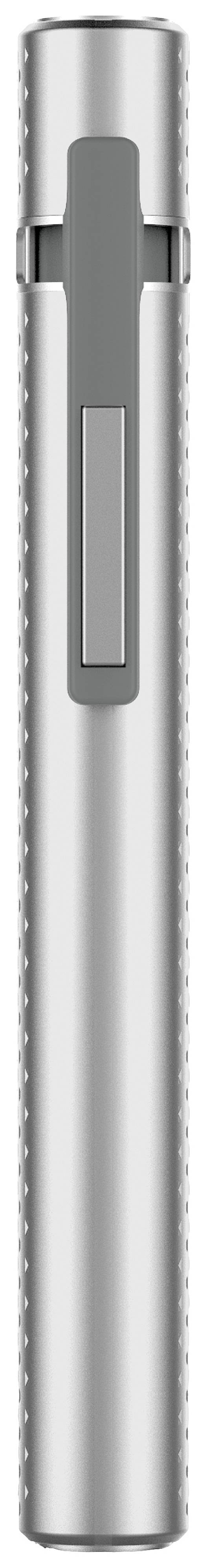 Ein silberner Metallstift mit einem grauen Clip.