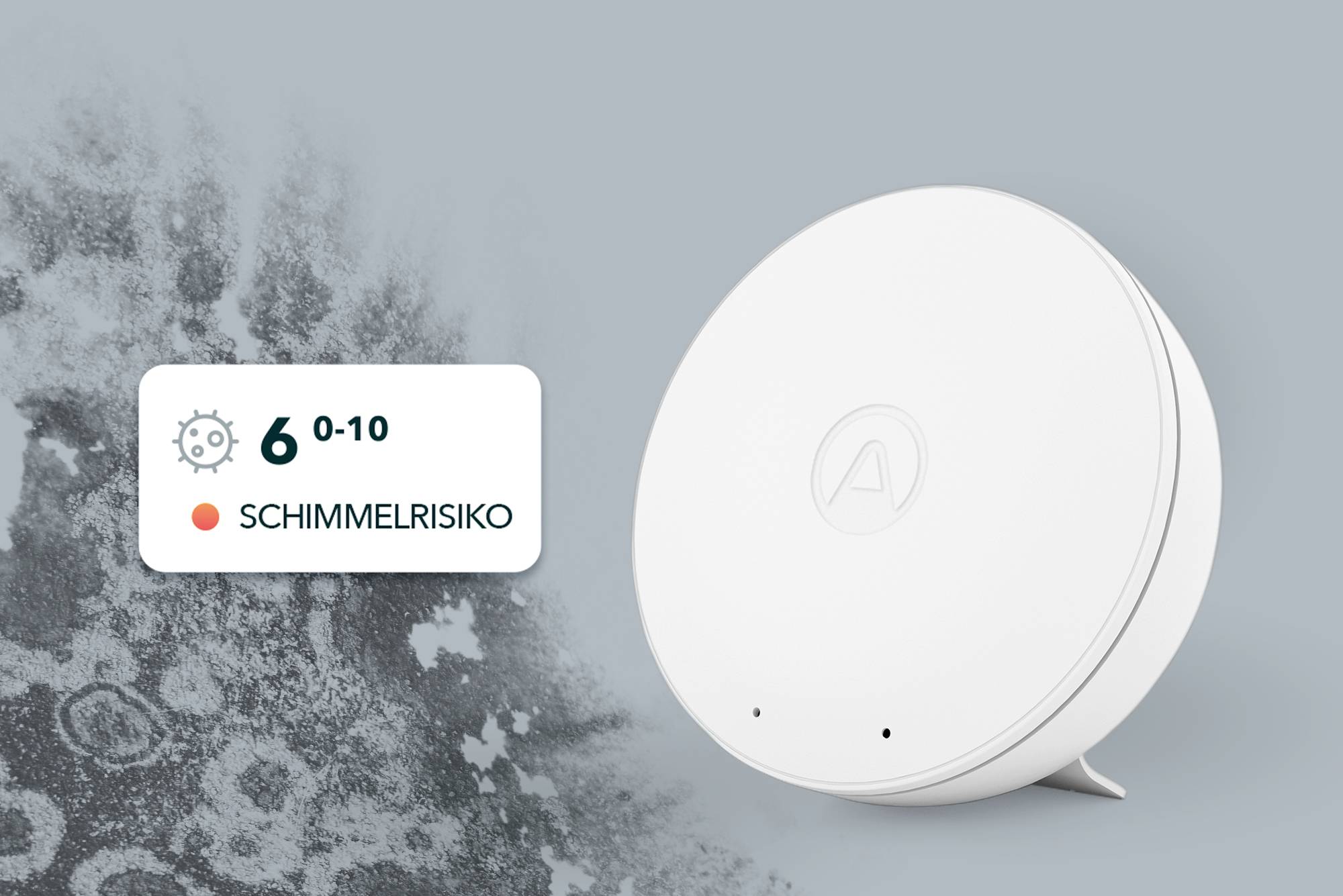 Ein rundes, weißes Gerät misst 'Schimmelrisiko' mit einem Wert von 6 auf einer Skala von 0-10. Hintergrund zeigt Schimmelbild.