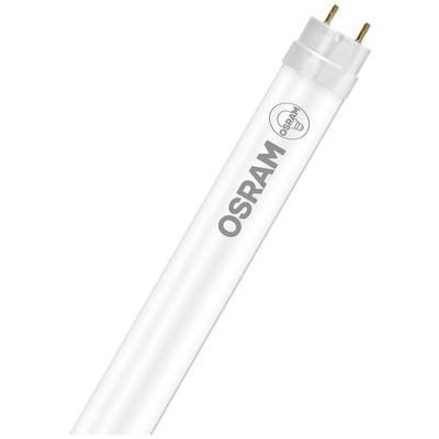 OSRAM LED EEK: C (A - G) G13 Röhrenform T8 KVG, VVG 12.7 W = 36 W Kaltweiß, Neutralweiß (Ø x L) 26.7 mm x 1212 mm  1 St.