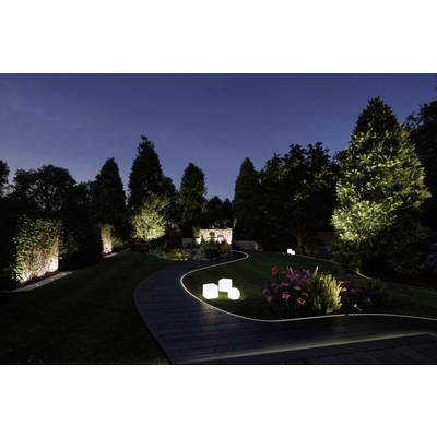 Ein stilvoll beleuchteter Garten bei Nacht mit einem geschwungenen Weg, umgeben von Bäumen und blühenden Sträuchern.