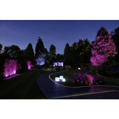 Ein beleuchteter Garten bei Nacht mit Bäumen und Sträuchern in verschiedenen Farben. Ein gewundener Weg führt durch die Szenerie.