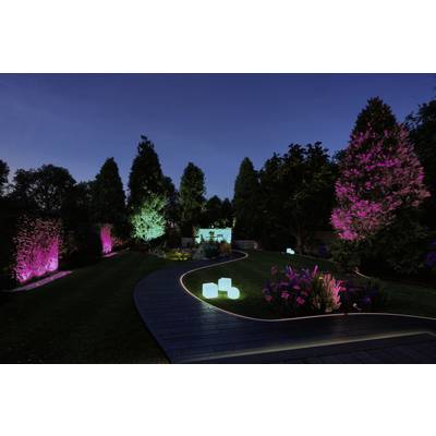 Ein Garten bei Nacht mit farbig beleuchteten Bäumen und Sträuchern; leuchtende Würfel markieren einen geschwungenen Weg.