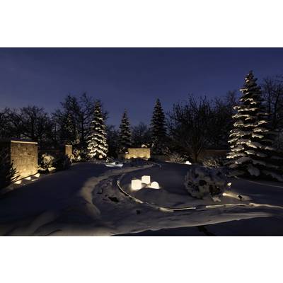 Verschneiter Garten bei Nacht, beleuchtet von warmen Lichtern, mit schneebedeckten Bäumen und beleuchteten Steinmauern.
