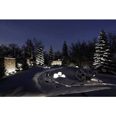 Wintergarten bei Nacht, beleuchtet mit warmen Lichtern. Schneebedeckte Bäume und Sträucher schaffen eine ruhige, friedliche Atmosphäre.