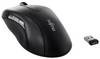 Fujitsu WI960 Maus Funk Optisch Schwarz 10 Tasten 2000 dpi