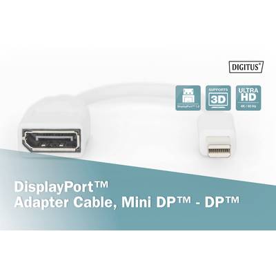 DisplayPort™ Adapterkabel mit Mini DP™- und DP™-Anschlüssen, geeignet für 3D und Ultra HD 4K/60 Hz.