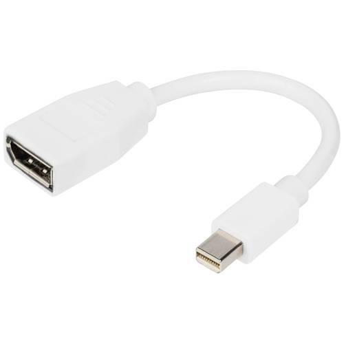 Digitus Adapter DisplayPort Stecker, Mini DisplayPort Stecker 0.15 m Weiß DB-340405-001-W DisplayPort-Kabel