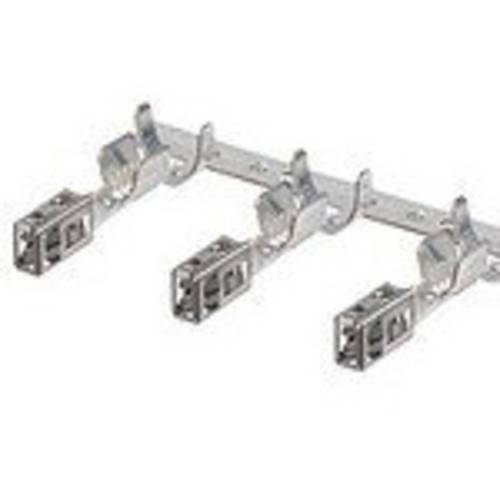 Molex Crimpkontakt 643241019 1 St.