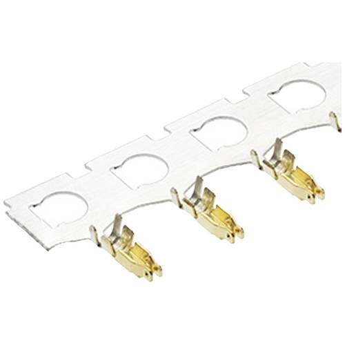Molex Crimpkontakt 2026555000 1 St.