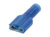 Molex 190020024 Flachsteckhülse 1 St.