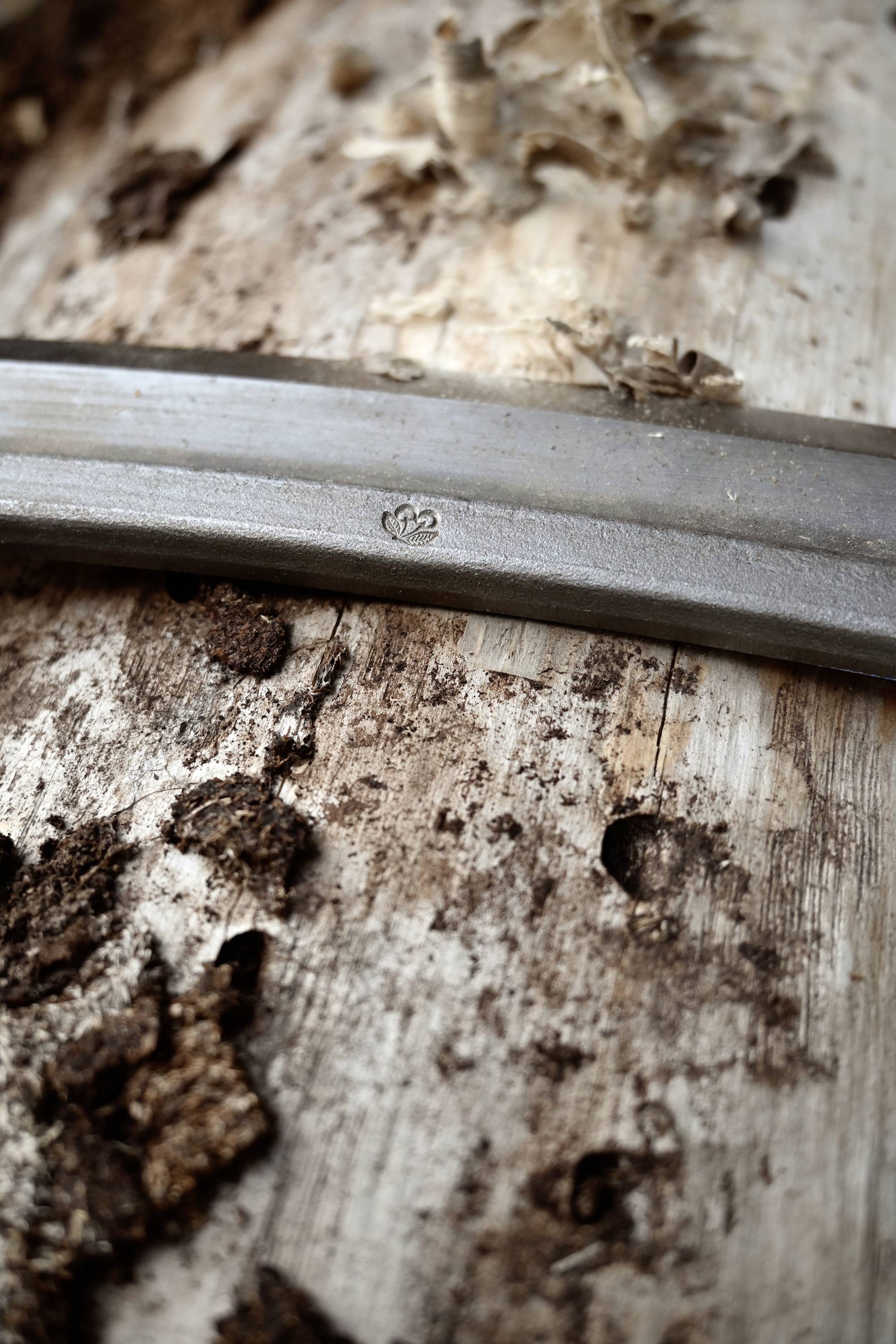 Ein Stück Metall mit Prägung auf einem verwitterten Holzhintergrund. Teile des Holzes sind mit Moos und dunklen Flecken bedeckt.