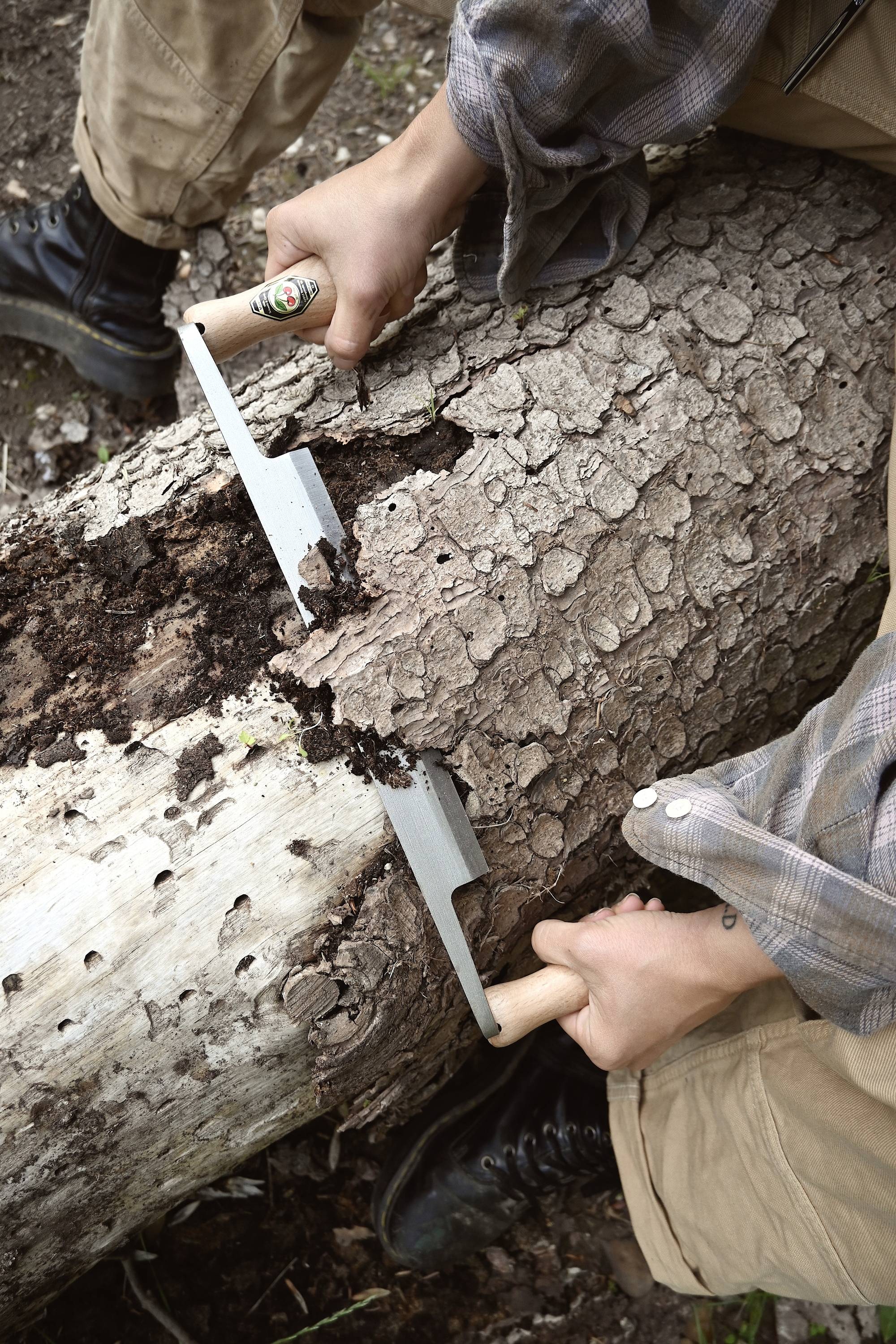 Eine Person schält mit zwei Handwerkzeugen die Rinde von einem gefallenen Baumstamm im Freien ab.