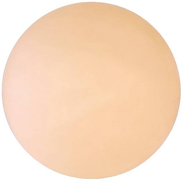 Deko Light 836014 Kugelleuchte 50 Außen-Dekobeleuchtung Kugel    E27  Weiß