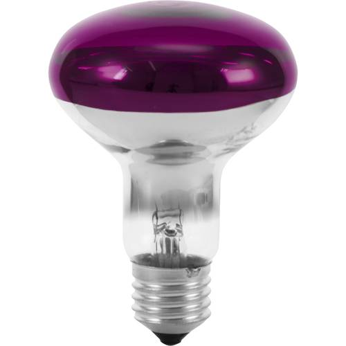 Eurolite 9210440U Halogen E27 Reflektor 60 W Violett (Ø x L) 80 mm x 110 mm 1 St.