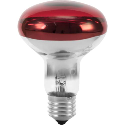 Eurolite 9210360U Halogen E27 Reflektor 60 W Rot 1 St.