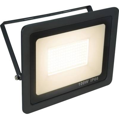 LED-Flutlicht, rechteckig, mit schwarzem Gehäuse und leuchtender Fläche, Beschriftung unten: '100W IP66', geeignet für Außenbeleuchtung.