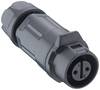 Lutronic 2340 02 T06CB A Rundsteckverbinder Buchse, gerade 1 St.
