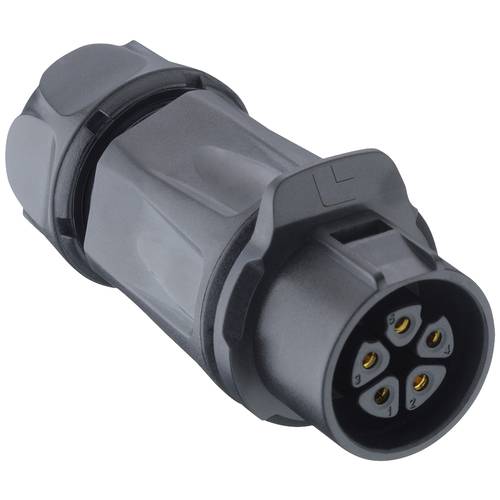 Lutronic 2640 05 T12CB A Rundsteckverbinder Buchse, gerade 1 St.