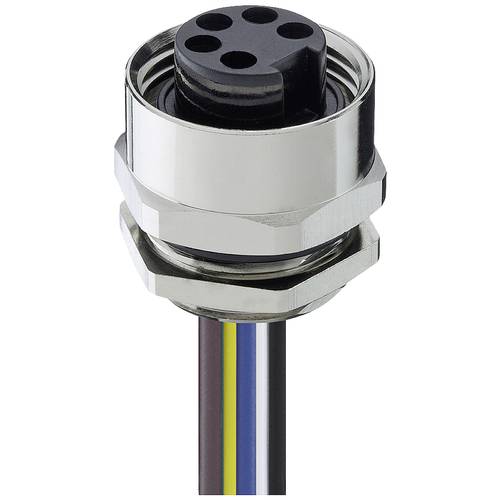 Lutronic 7820 04 T13CW 0,5m Sensor-/Aktor-Einbausteckverbinder 7/8 Buchse, Einbau Polzahl Sensoren: 4 1 St.