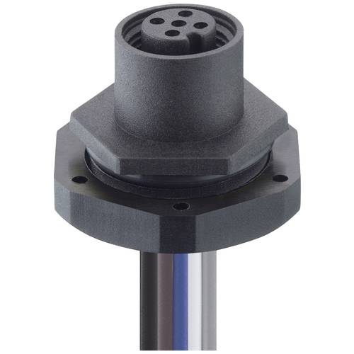 Lutronic 1220 12 T20CW100 0,5m Sensor-/Aktor-Einbausteckverbinder M12 Buchse, Einbau Polzahl Sensoren: 12 1 St.