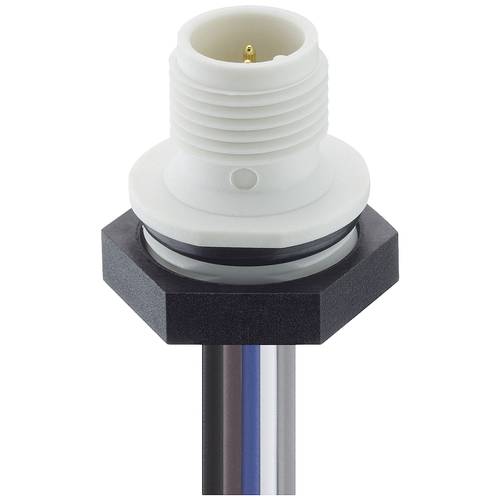 Lutronic 1230 05 T16CW101 0,5m Sensor-/Aktor-Einbausteckverbinder M12 Stecker, Einbau Polzahl Sensoren: 5 1 St.