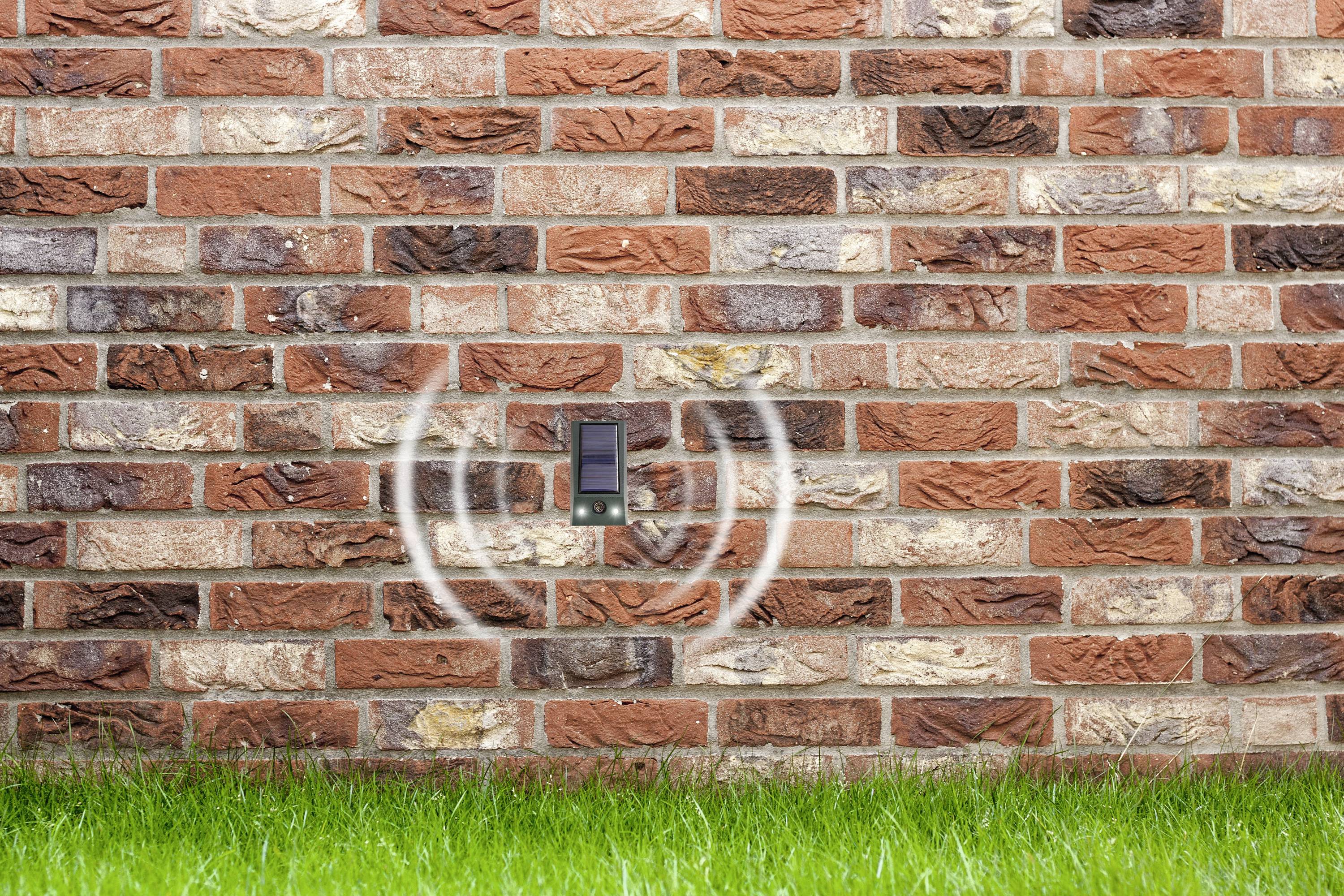 Eine Klinkerwand mit einem kleinen schwarzen Lautsprecher, umgeben von ringsförmigen Wellen, nahe am grünen Rasen.