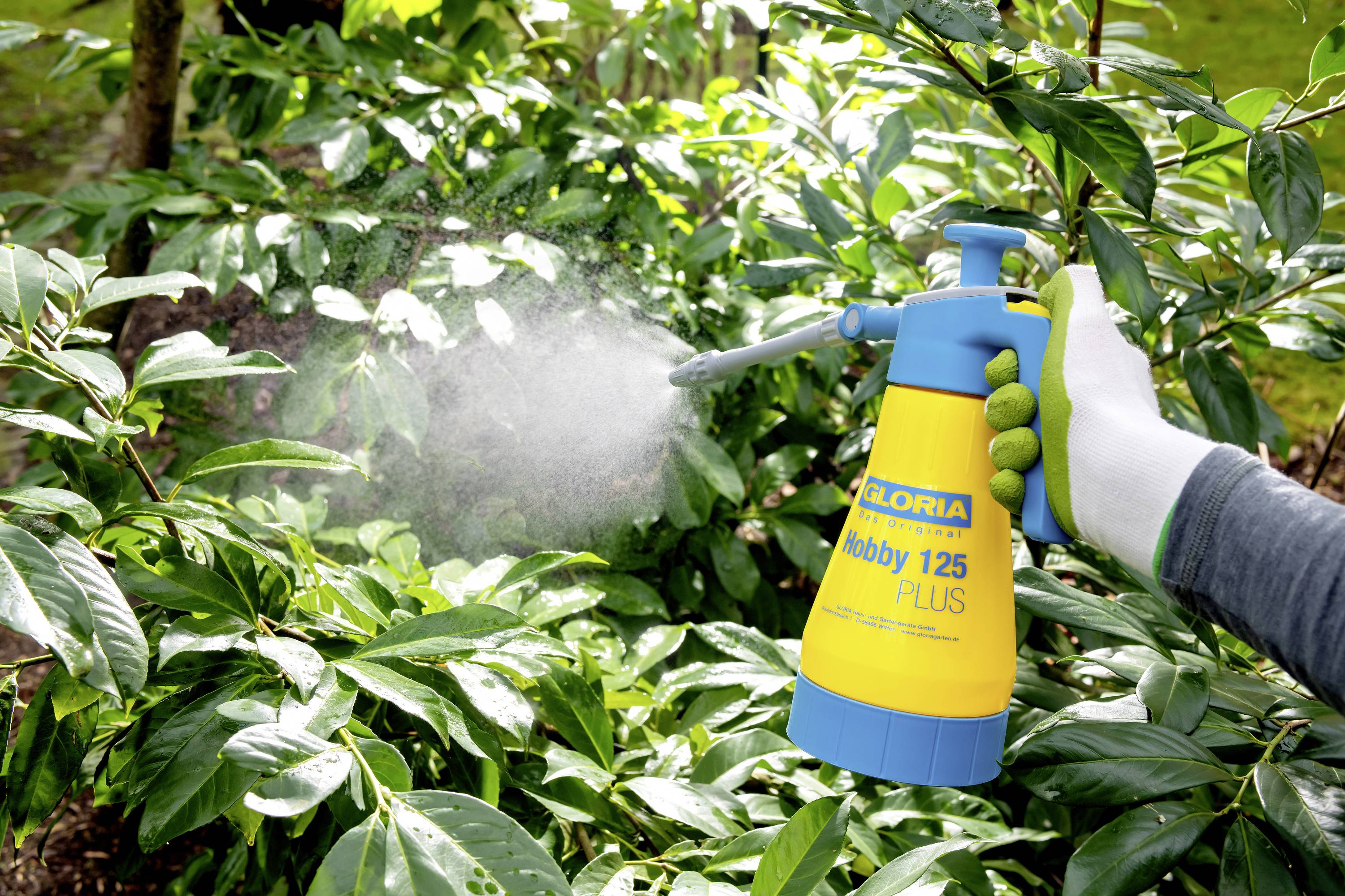 'Person sprüht Pflanzen im Garten mit einem blauen und gelben Drucksprüher.'