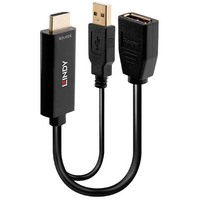 LINDY 38289 HDMI / USB / DisplayPort Konverter [2x HDMI-Stecker, USB-A - 1x DisplayPort Buchse] Schwarz  0.18 m