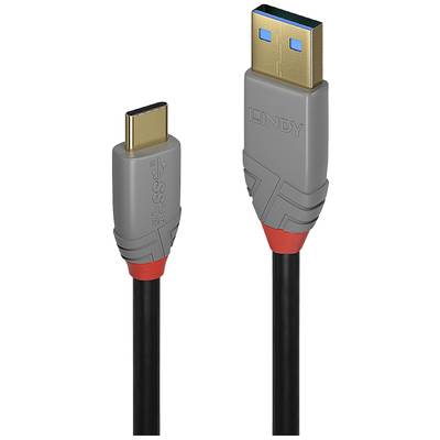 USB-C- und USB-A-Stecker eines schwarzen Kabels von LINDY, geeignet für Datenübertragung und Laden elektronischer Geräte.