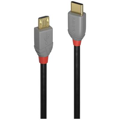 Ein USB-Kabel mit zwei Enden: links ein Micro-USB-Stecker und rechts ein USB-C-Stecker. Beide Stecker sind grau mit roten Elementen.