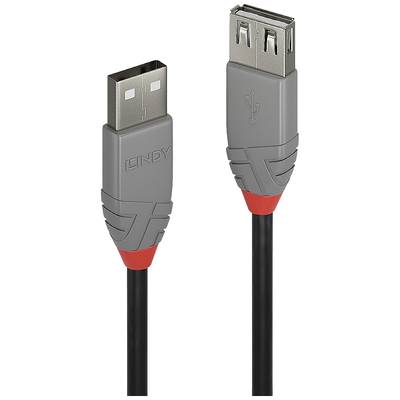 'USB-Verlängerungskabel mit grauen Steckern und schwarzem Kabel; ein Stecker männlich, der andere weiblich.'