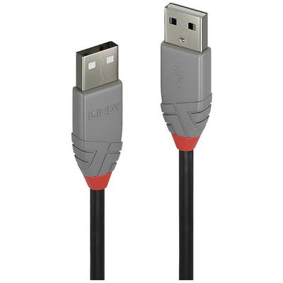 Graues USB-Kabel mit roten Akzenten und zwei Steckerenden. Links ein USB Typ A Stecker, rechts ebenfalls ein Typ A Stecker.
